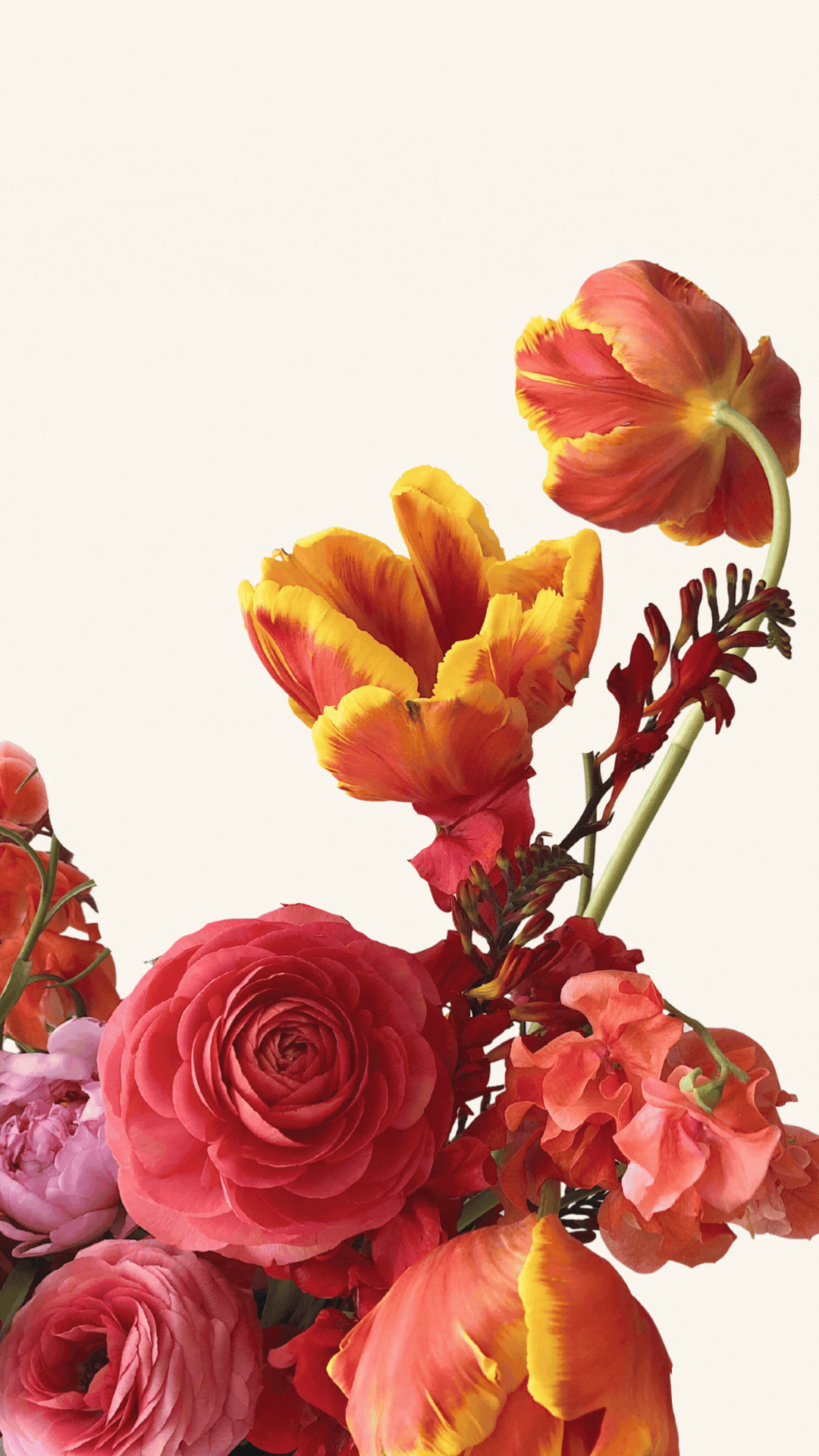 Mother's Day eCard that says Best Mom Ever over a modern, bouquet of flowers. Also a Mom birthday eCard too.