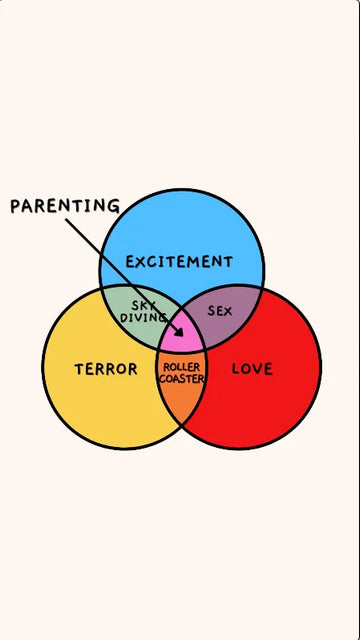 New Baby Card Funny Parenting Venn Diagram Video eCard poster