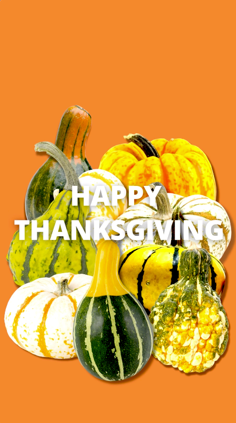Funny Thanksgiving video eCard with the phrase ‘Celebrate gourd times, come on! Happy Thanksgiving’ featuring playful autumn colors and pumpkin-themed design.