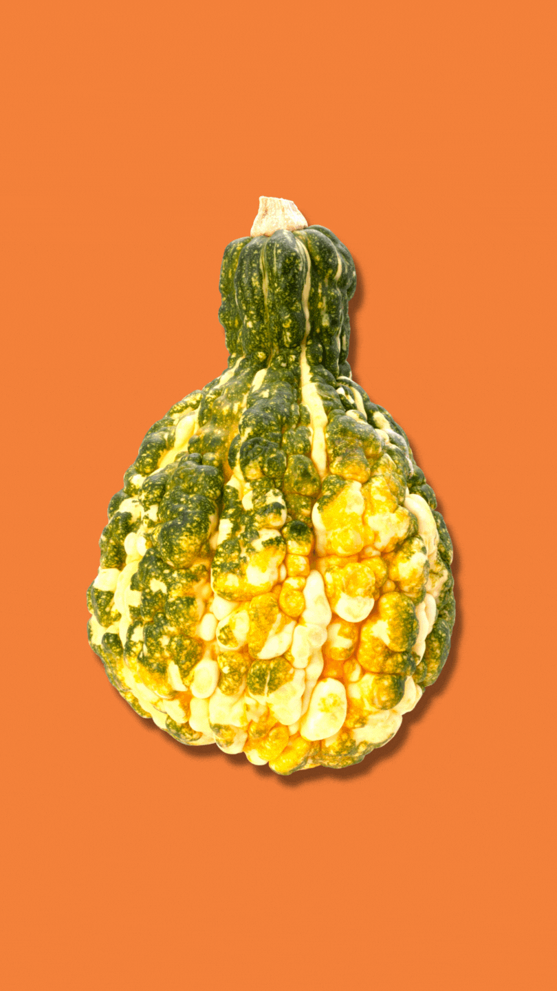 Funny Thanksgiving video eCard with the phrase ‘Celebrate gourd times, come on! Happy Thanksgiving’ featuring playful autumn colors and pumpkin-themed design.